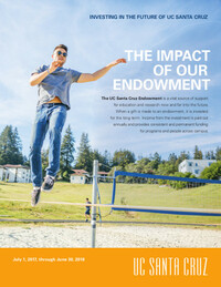Endowment Report